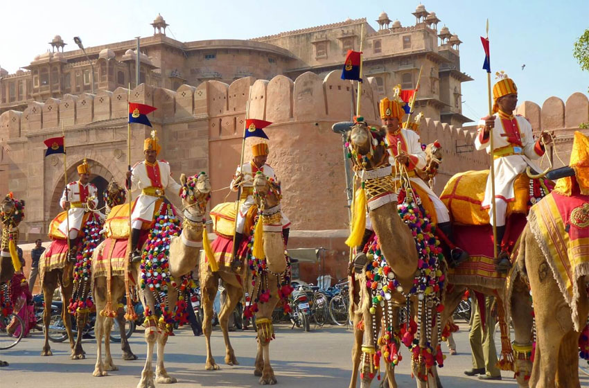 Bikaner Camel Festival | Private Luxury Rajasthan Tours