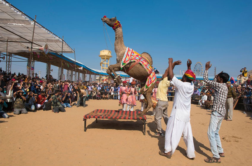 Pushkar Camel Fair | Private Luxury Rajasthan Tours