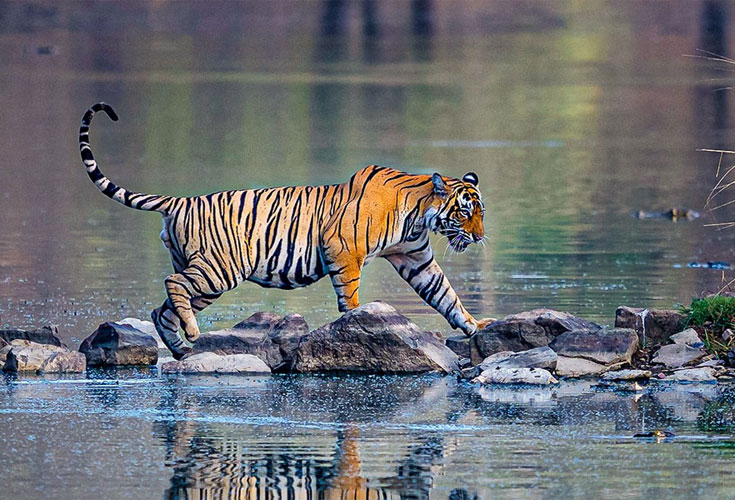 10-Day Golden Triangle and Ranthambore Private Tour